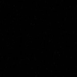 Meet your Posher, Rayesean